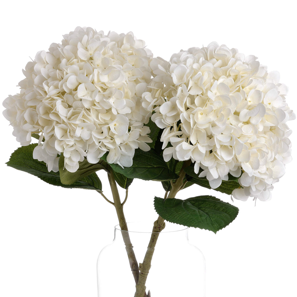 Oversized White Hydrangea - view 3