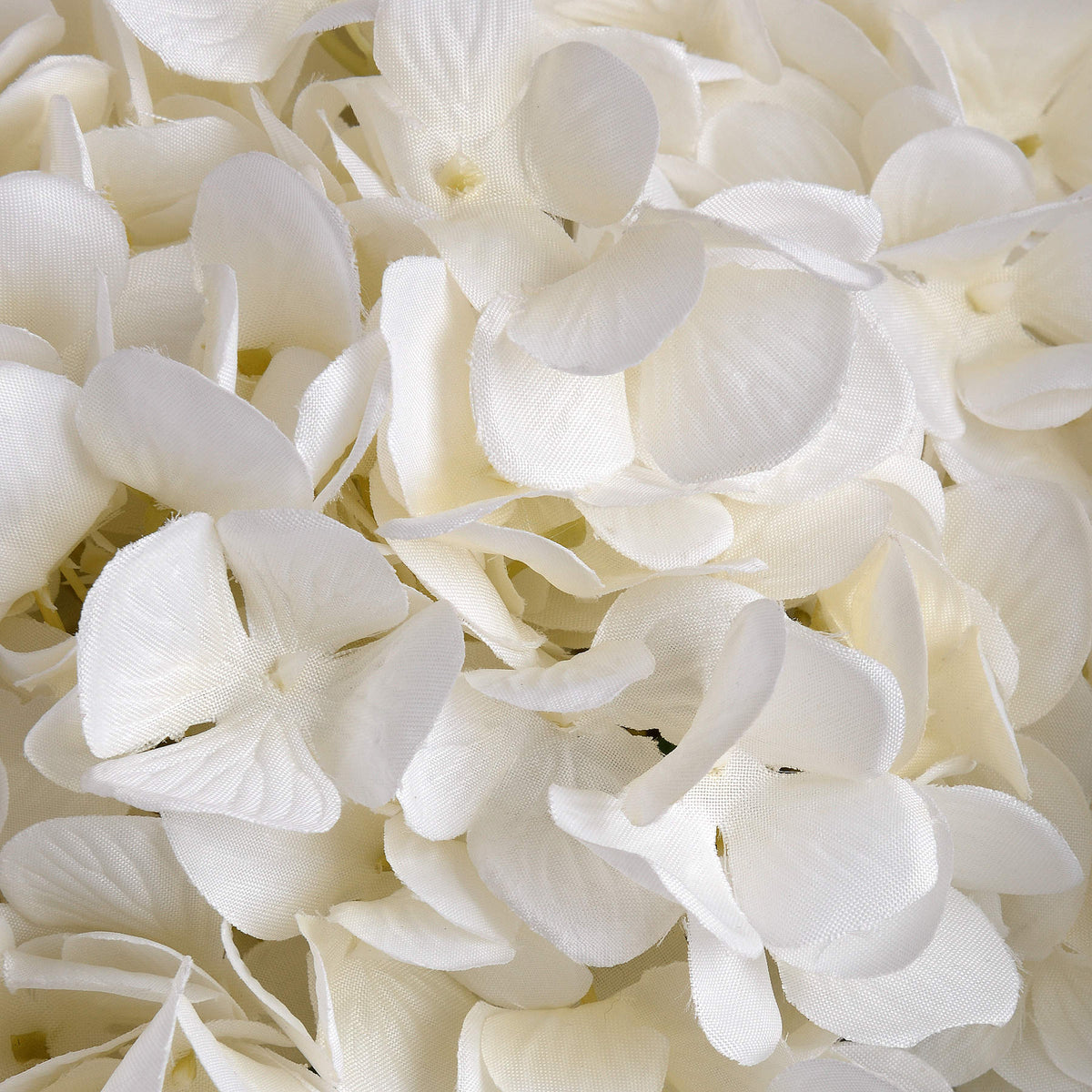 Oversized White Hydrangea - view 5