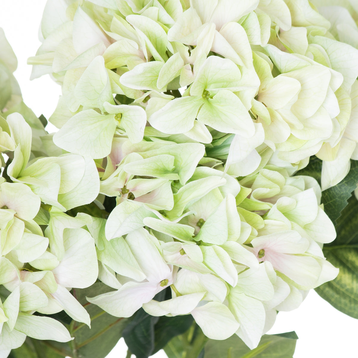 Shabby Green Hydrangea Bouquet - view 4