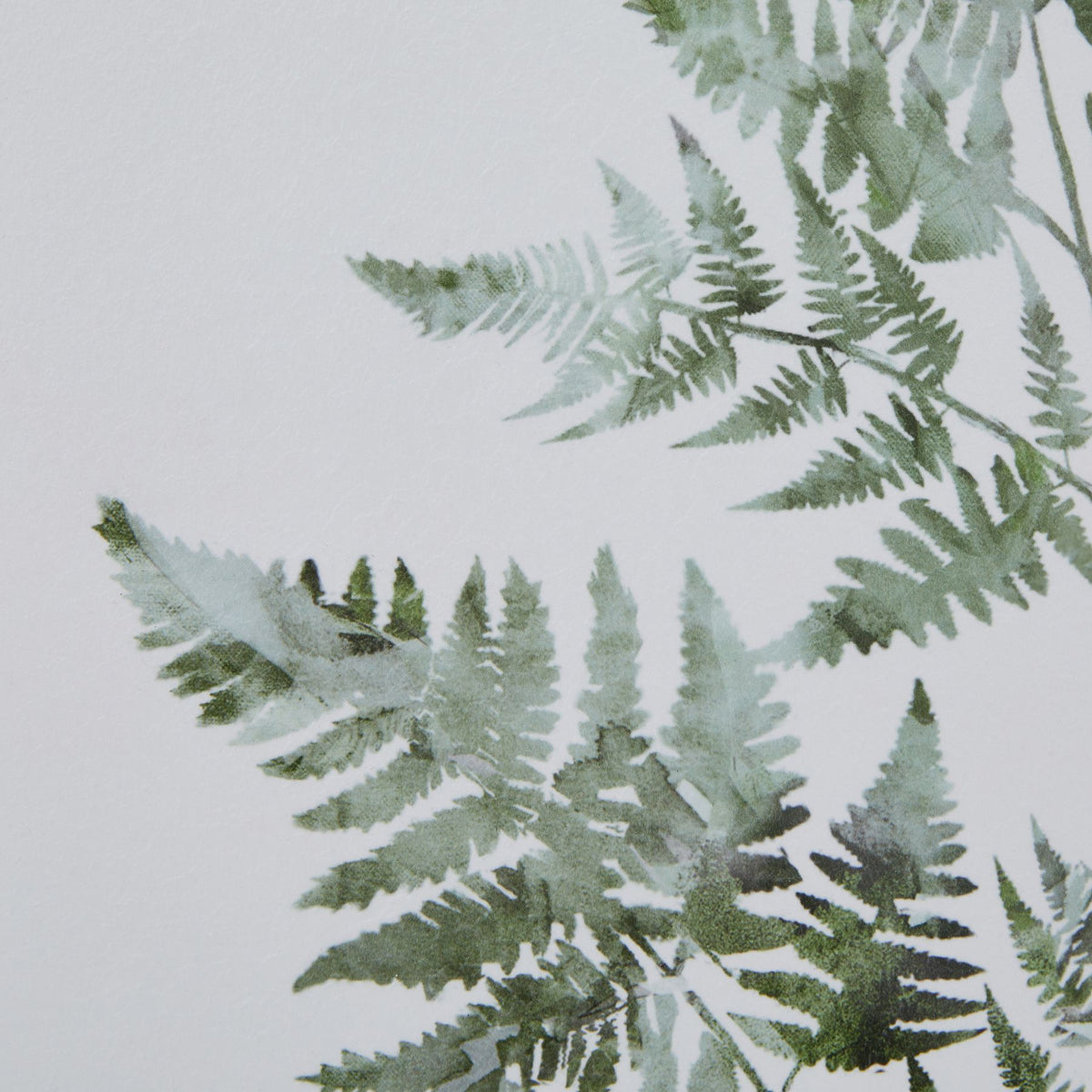 Watercolour Bracken Fern in Washed Wood Frame - view 3