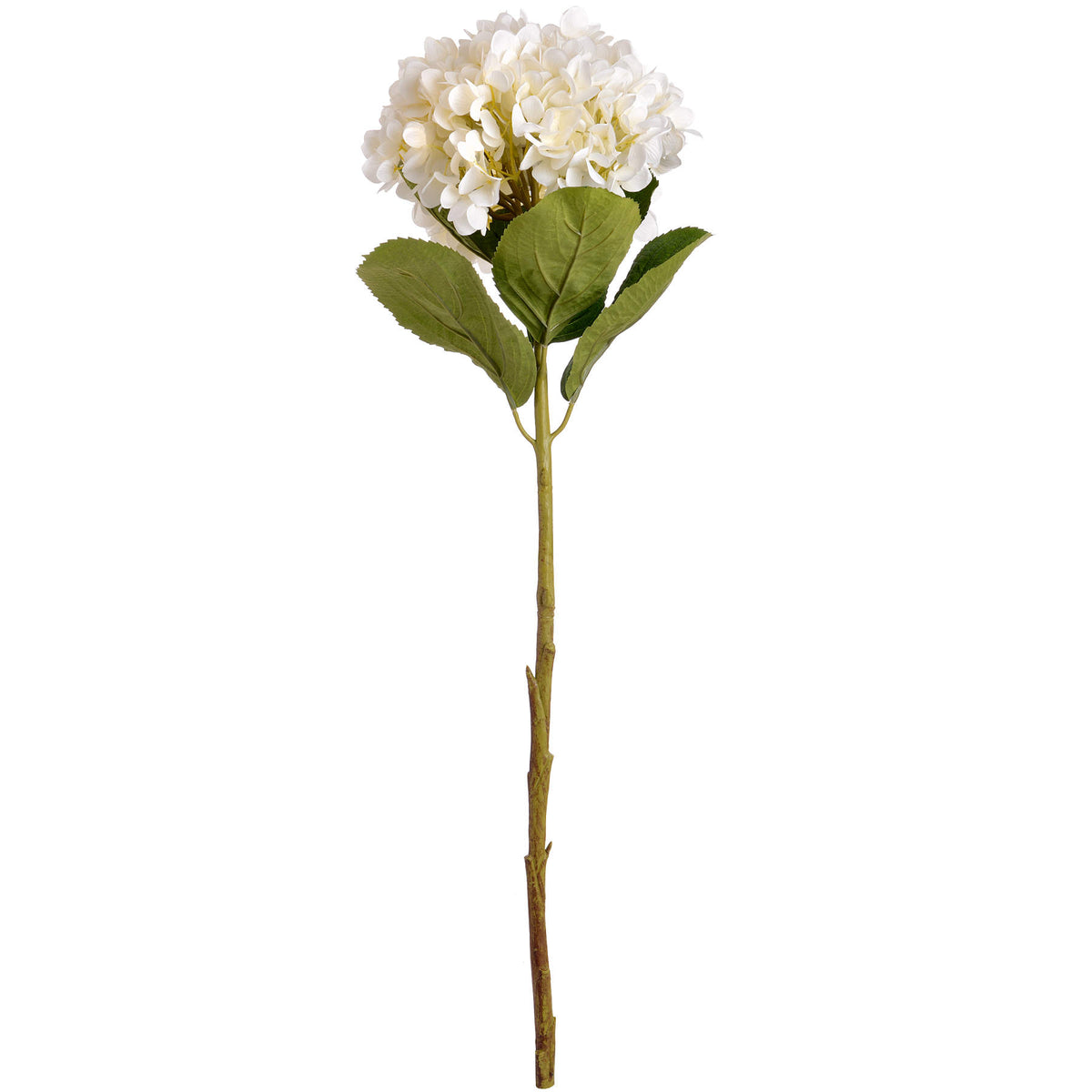 Oversized White Hydrangea - view 4