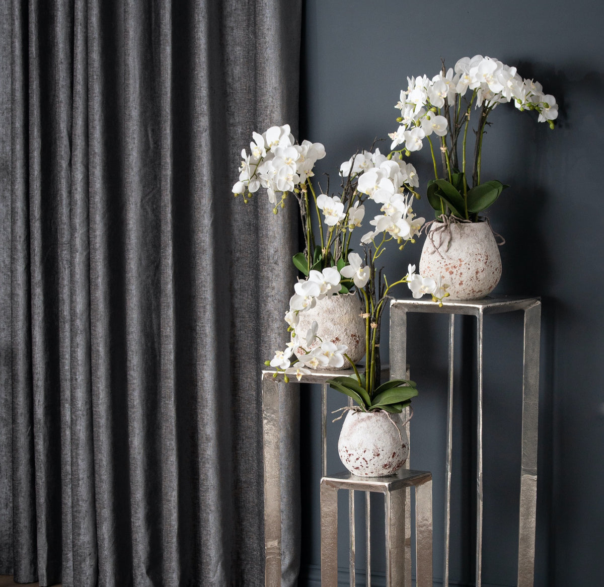 White Orchid In Stone Pot - view 4