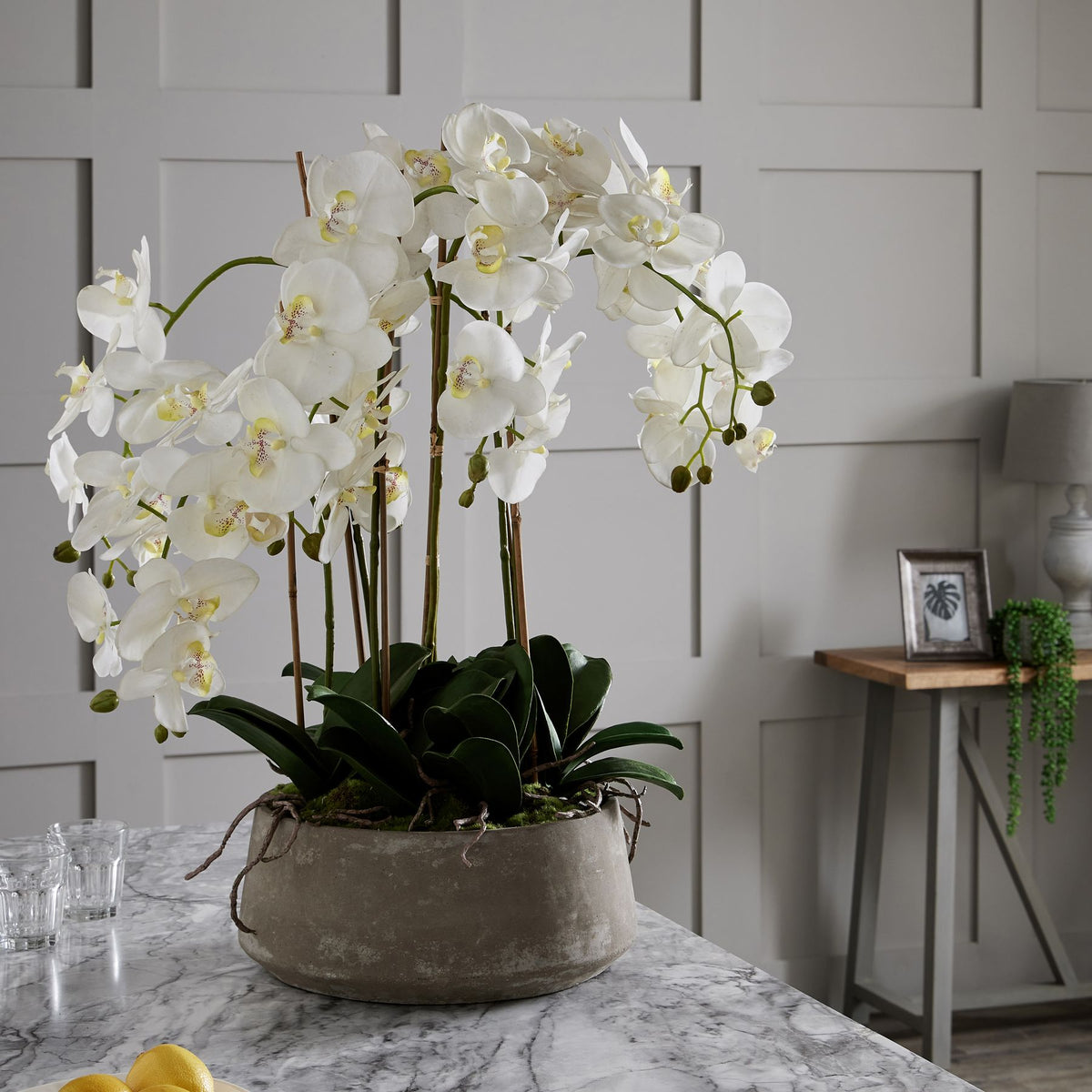 Large White Orchid In Stone Pot - view 4