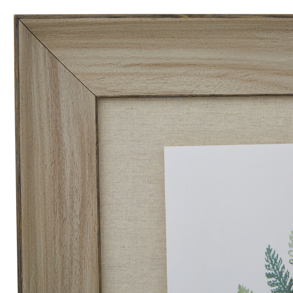 Watercolour Fern Duo in Washed Wood Frame - view 2