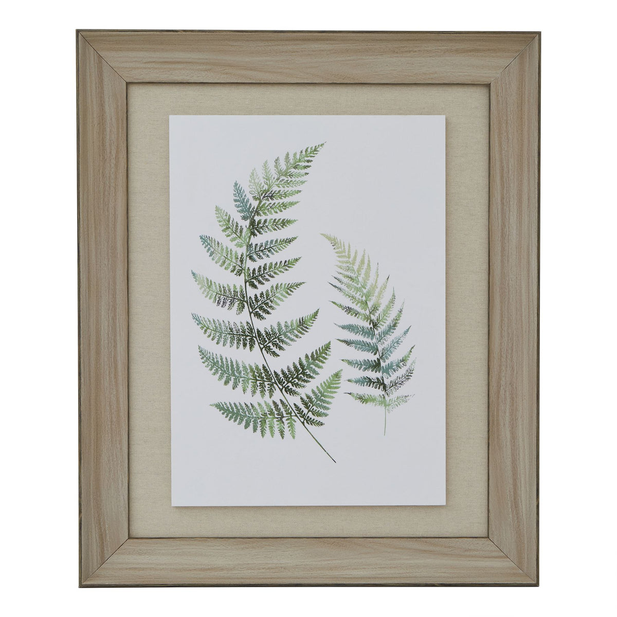 Watercolour Fern Duo in Washed Wood Frame
