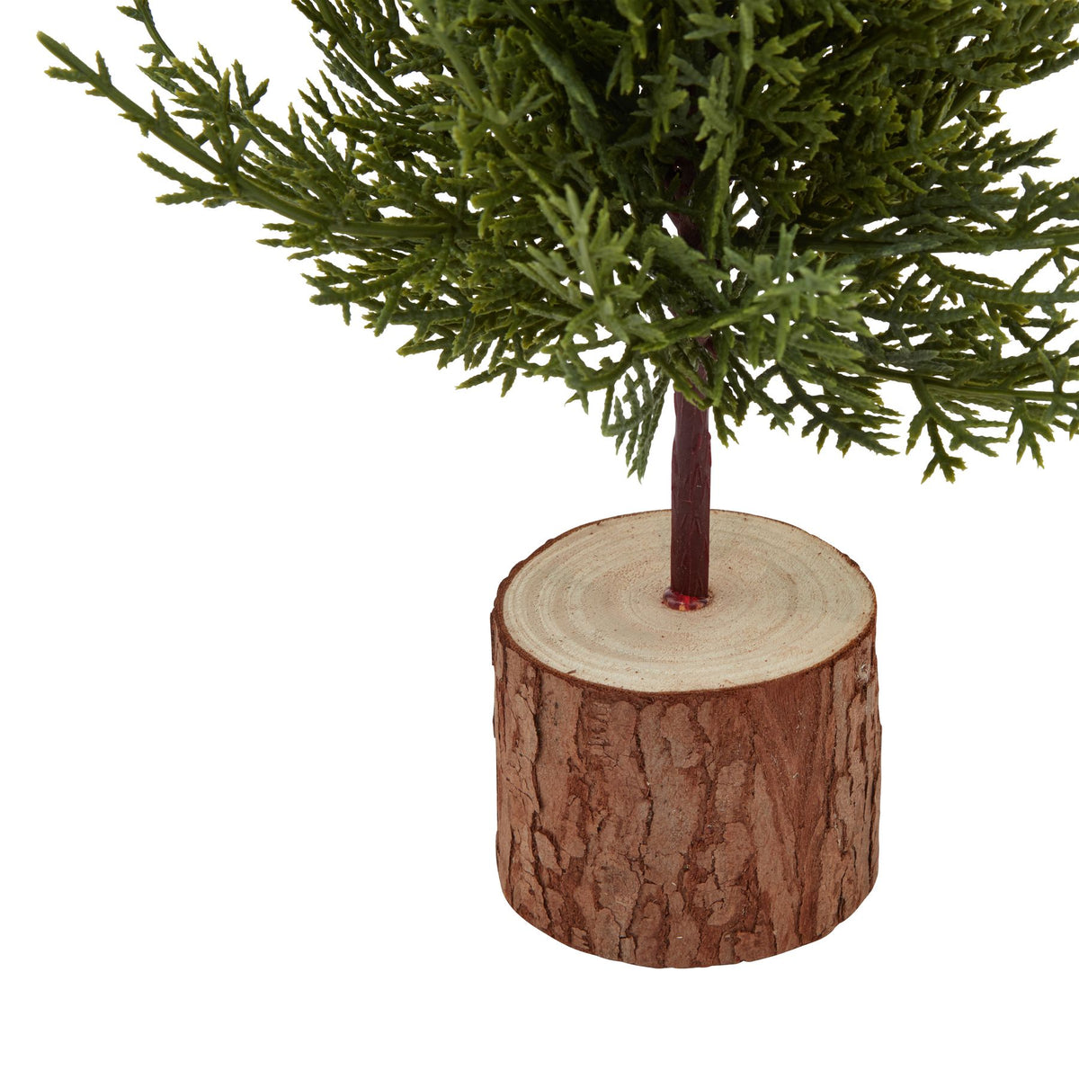 Small Green Fir Tree In Wood Log - view 3