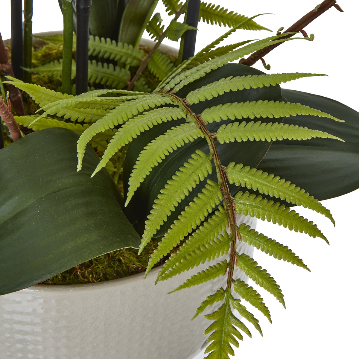 Large White Orchid In Ceramic Pot - view 3