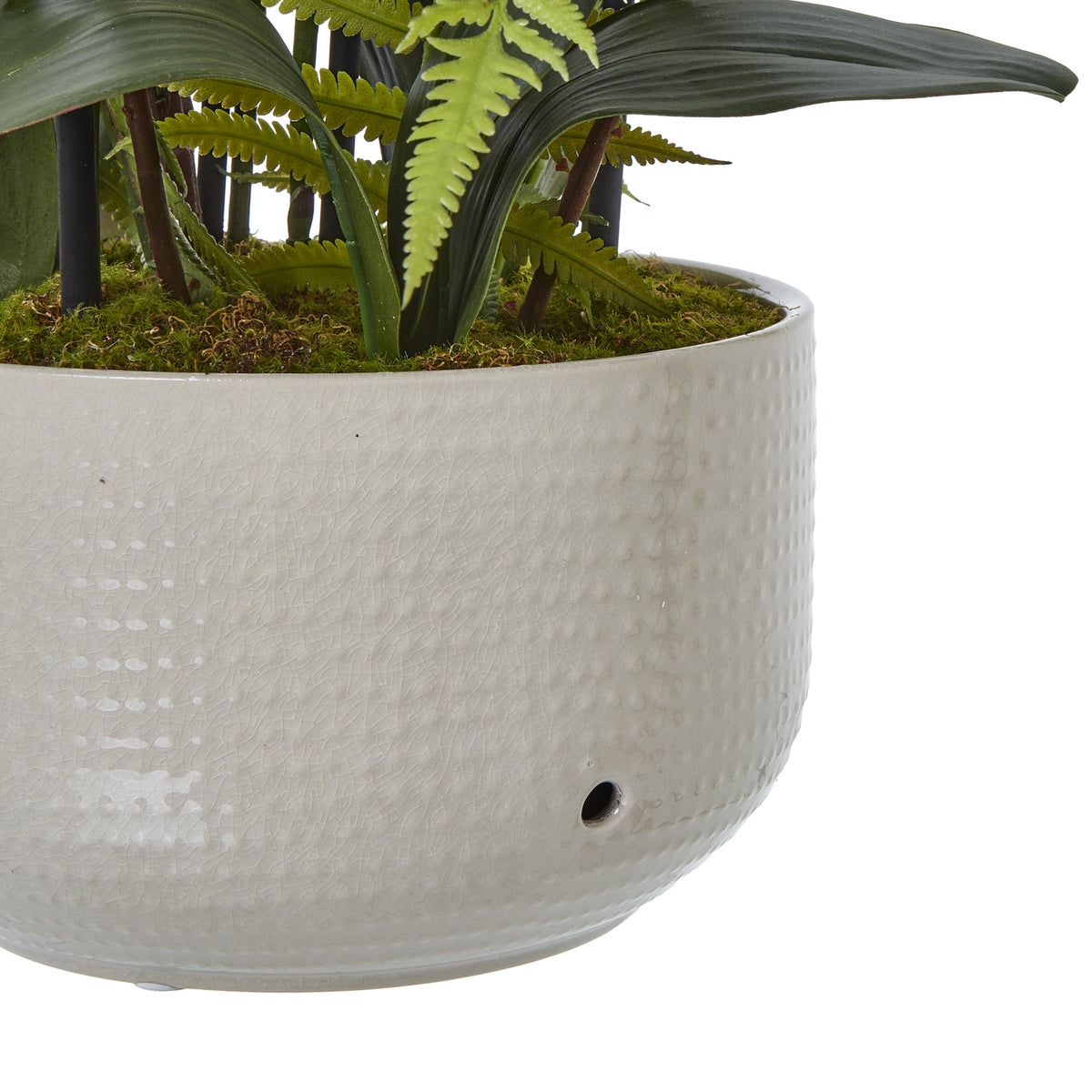 Large White Orchid In Ceramic Pot - view 4