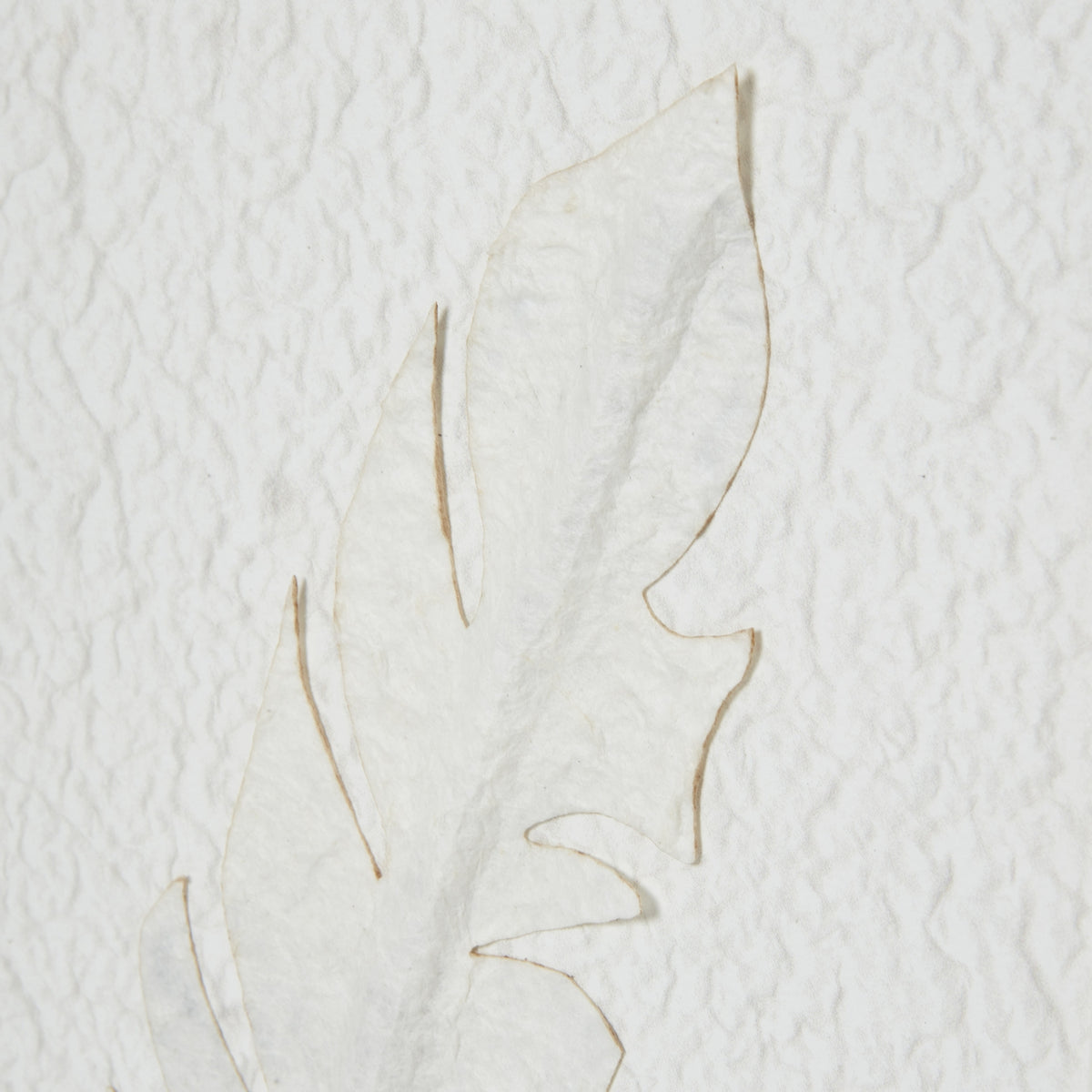 Solli White Feathers Art Mounted In Beaded Frame - view 3