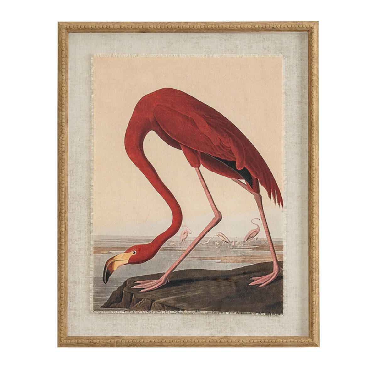 Flora & Fauna Collection Flamingo on Linen in Beaded Frame