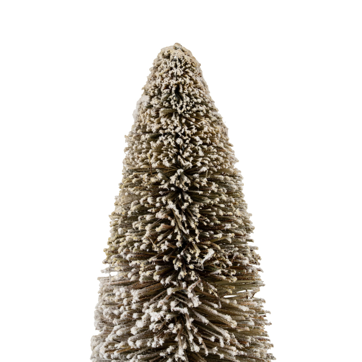 Large Cone Brush Tree - view 2